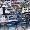 ROCAT in Newlyn harbour